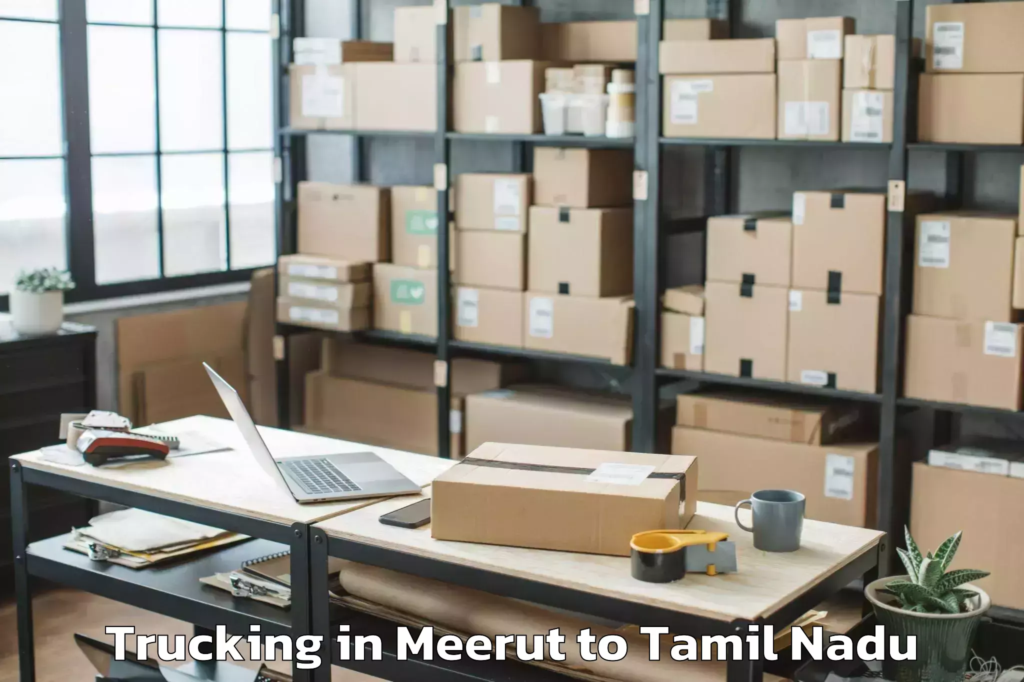 Expert Meerut to Tuticorin Port Trucking